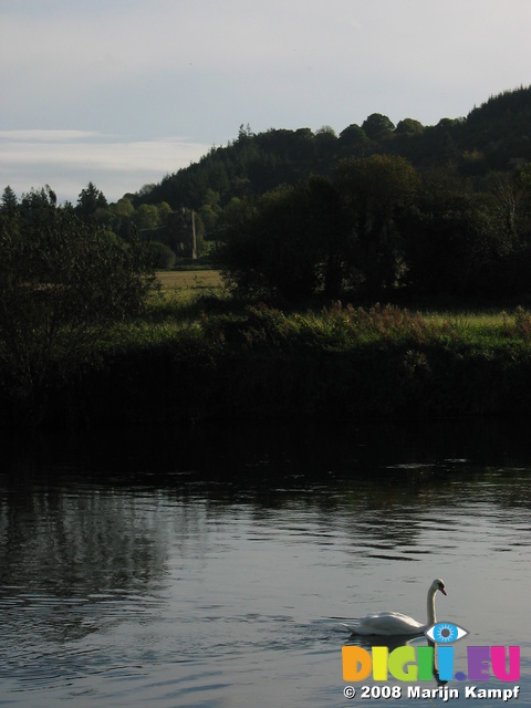 24128 Swan and castle in distance